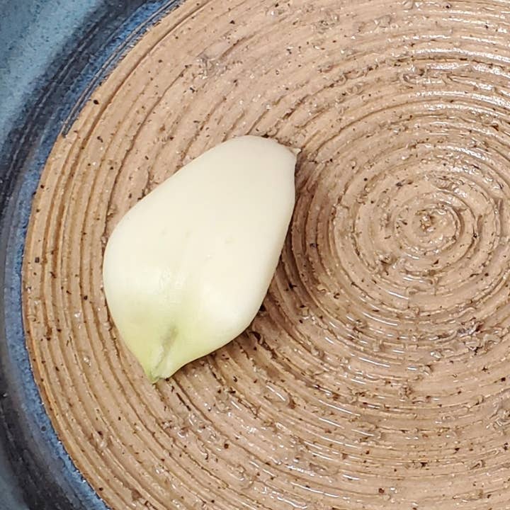 Turtle Hollow Pottery - Wholesale Condiment/Dip Bowl - Garlic dip dish2