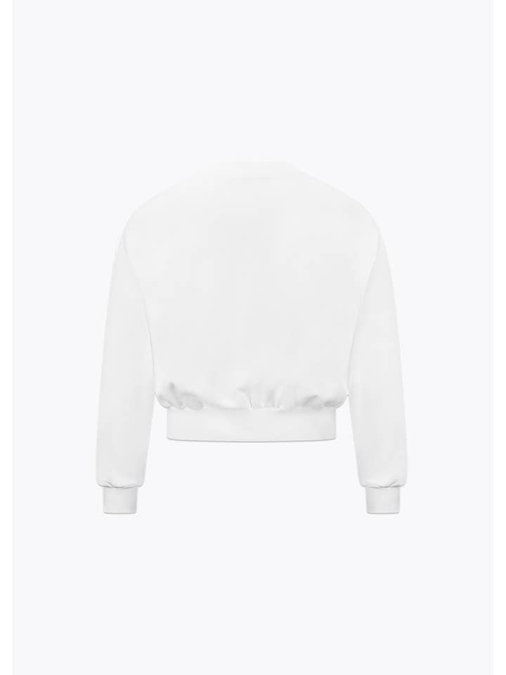 Life Is PainĀ® - Wholesale Sweatshirt - Men's - white crewneck sweater1