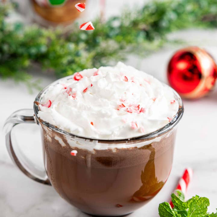 Bare Life - Wholesale Hot Cocoa Mix/Kit - Dairy Free & Vegan Peppermint Hot Cocoa Mix - 9.52 Oz. Bag