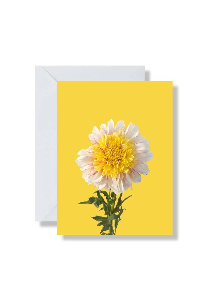 Dahlia Flower, Floral Photography, Color Block Blank Card for wholesale by Flora and Forest Jewellery
