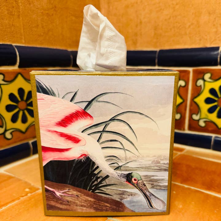 TOPICS IN THE TROPICS - Vendita all'ingrosso Scatola portafazzoletti - Scatola di Kleenex o Vaso Audubon Uccelli, Spatola, Fenicottero2