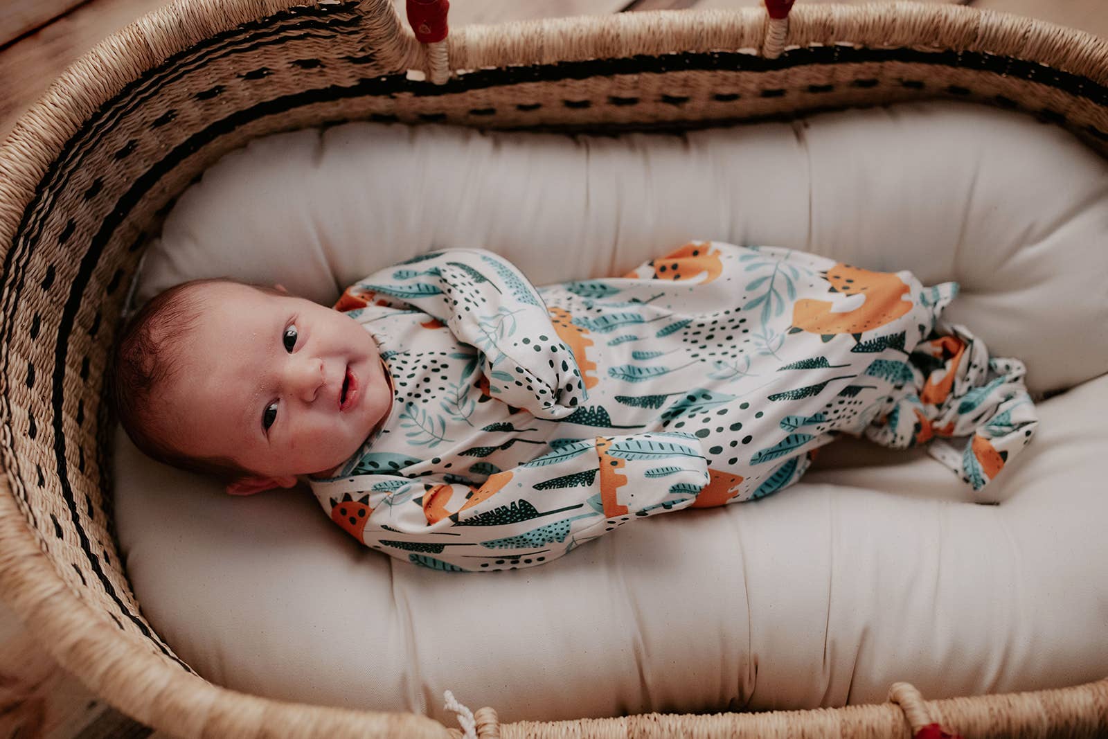 Three Little Tots - Wholesale Babygown - Baby - Dinosaur Animal Print Zoo Knotted Gown19