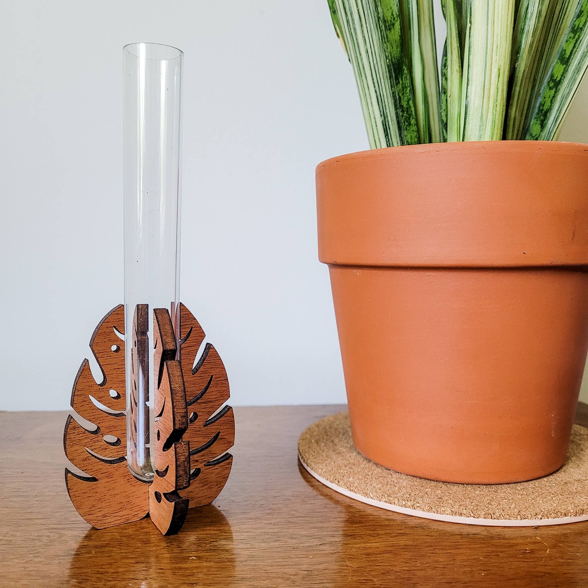 Leaf & Node - Wholesale Plant Pot - Test Tube Propagation Station - Monstera Test Tube Holder5