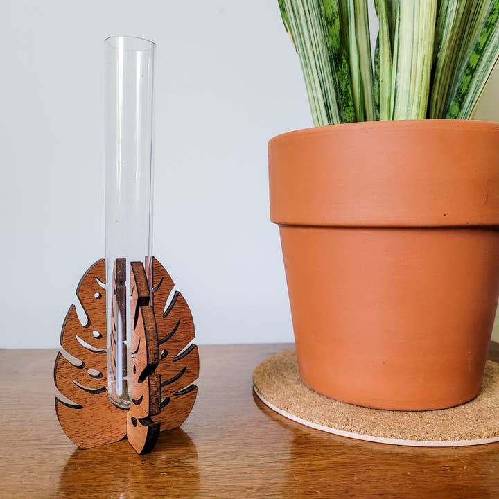 Leaf & Node - Wholesale Plant Pot - Test Tube Propagation Station - Monstera Test Tube Holder5