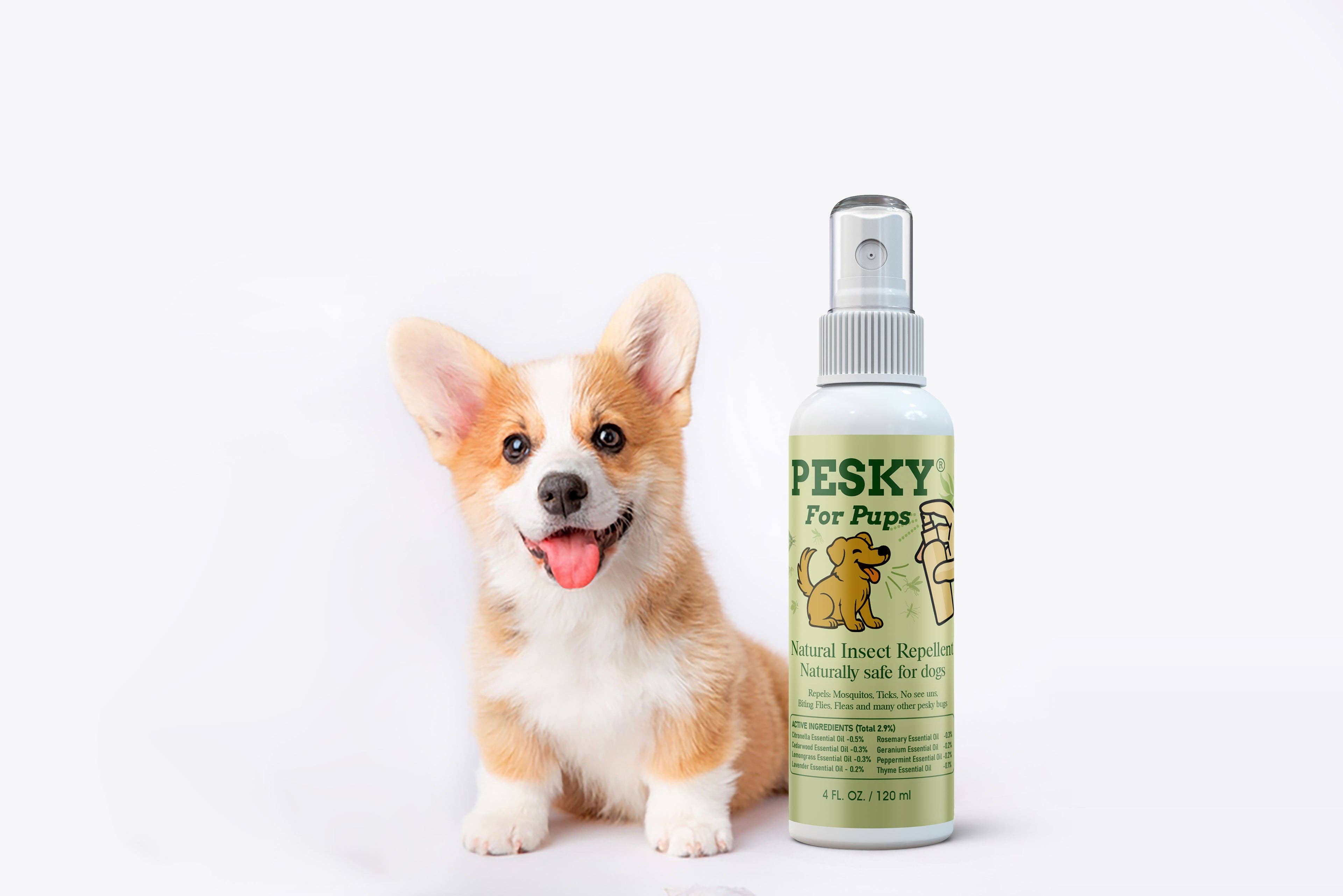 PESKY® Bug Away - Wholesale Pet Spray - Dog - 🐶 PESKY for Pups — Natural Insect Repellent for Dogs (Copy)1