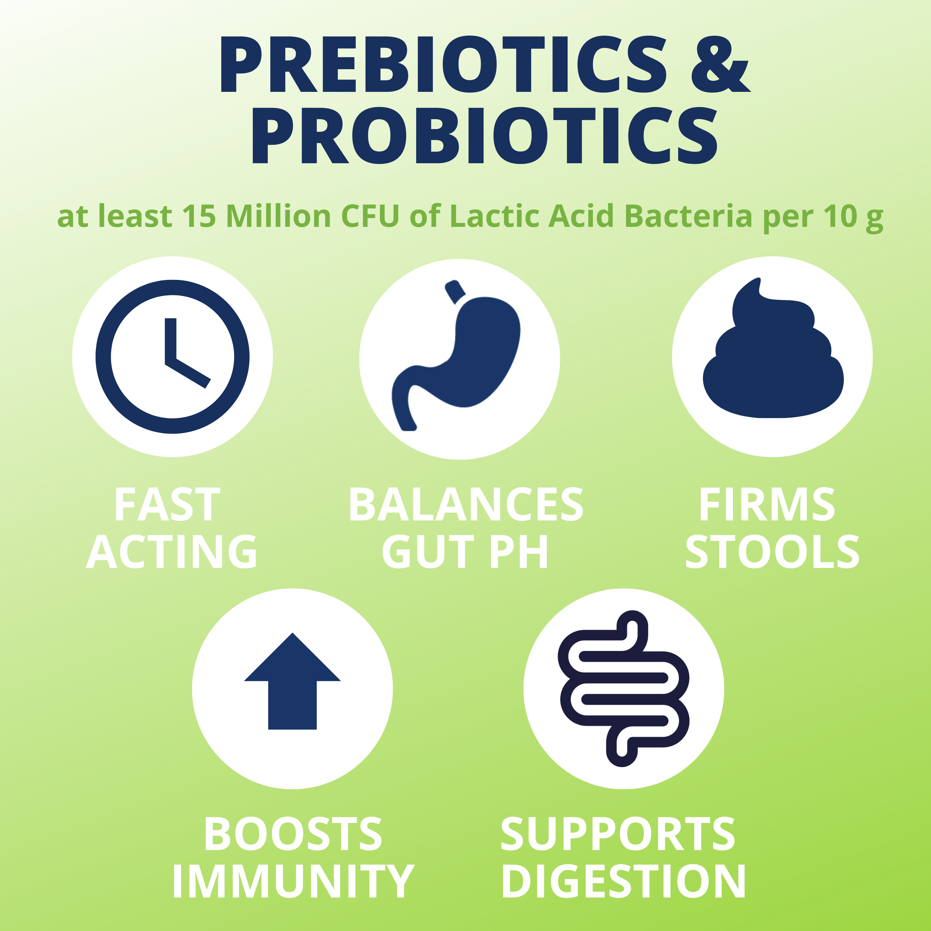 Under the Weather Pet - Wholesale Pet Supplement - Dog - Ready Balance Probiotic Supplement For Dogs2