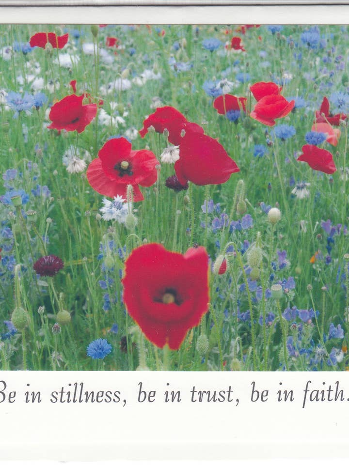 "Stillness, trust, faith" Channeled Angel Message Photo Cd for wholesale by The Marble Faun Gifts