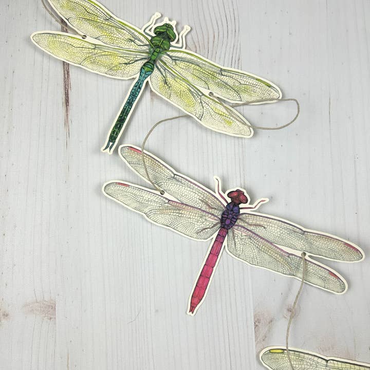 Sarah Draws Things - Wholesale Bunting/Garland - Dragonfly Illustrated Garland 4