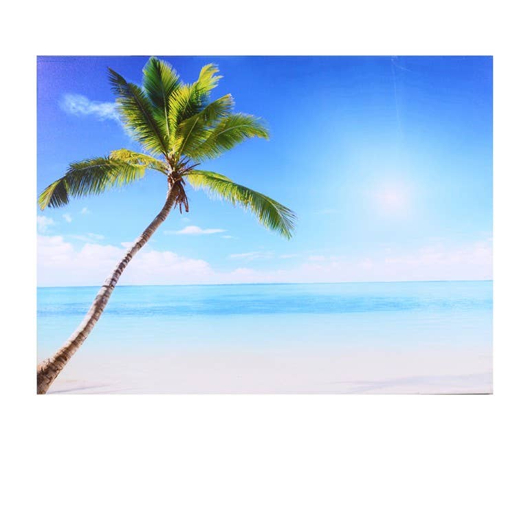 pomace Bluetooth-tryck Tavla Hav Palma Blå CM80x60x4 för wholesale på Faire3