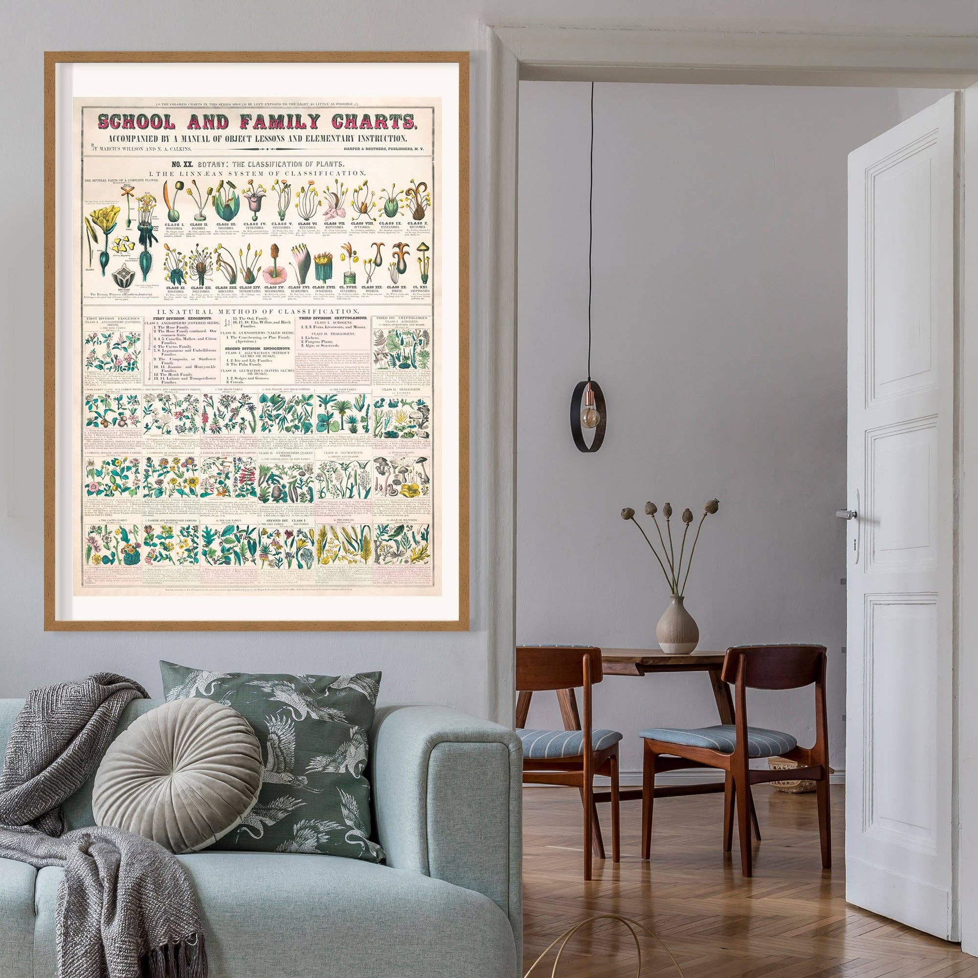 Ink & Drop – wholesale Art print – Classification of Plants Botanical Chart2