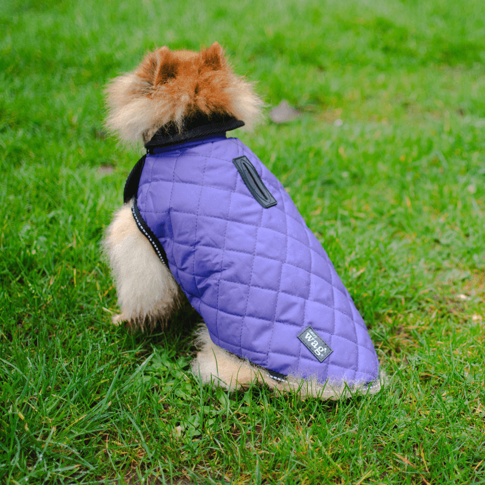 Henry Wag - Wholesale Pet Jacket - Dog - Henry Wag Quilted Dog Jacket9