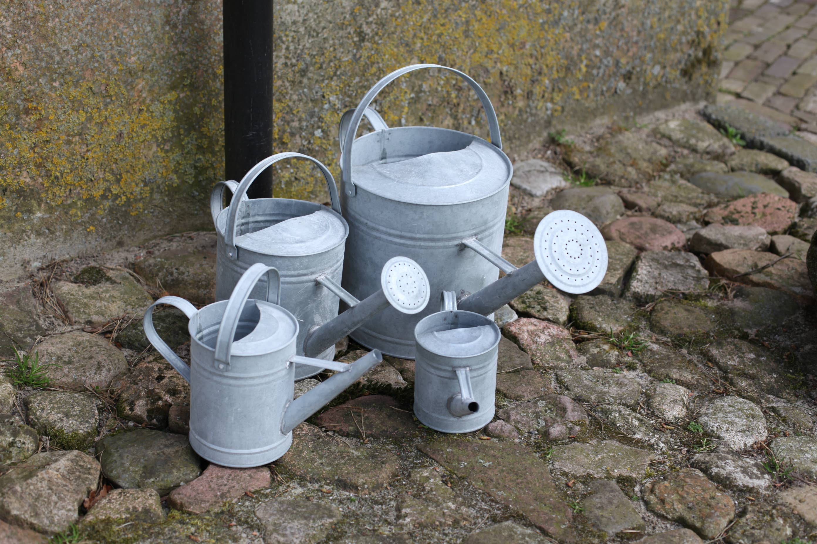 Fallen Fruits Ltd – wholesale Watering can – OZ42 - Old Zinc Watering Can (0.8Lt)1