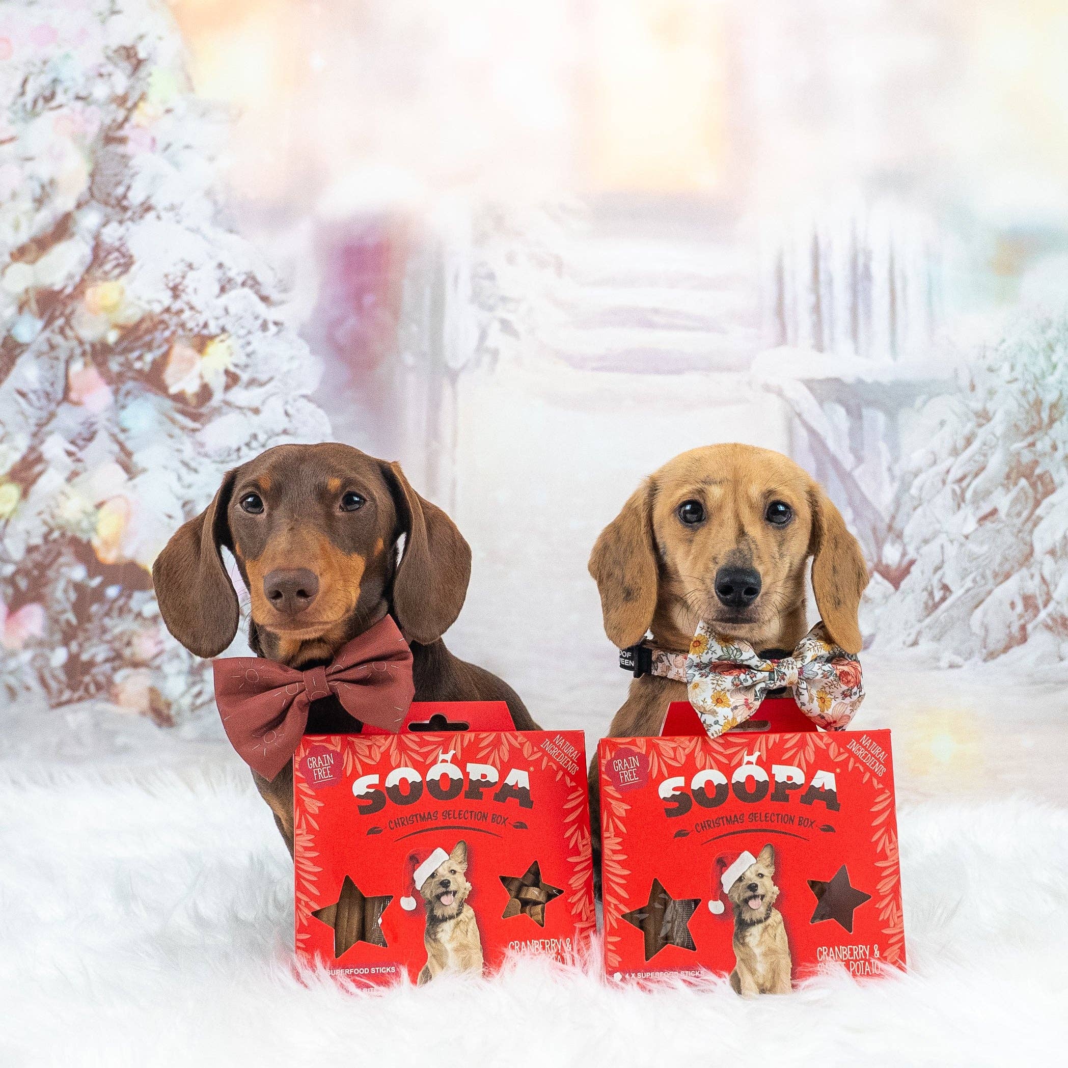 Soopa Europe - Wholesale Pet Treats - Dog - Cranberry & Sweet Potato - Dog Treat Christmas Selection Box5