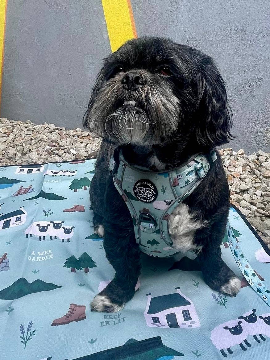 Murphy and Bailey - Wholesale Pet Travel Bowl - Dog - Murphy & Bailey Lightweight Travel Mat4