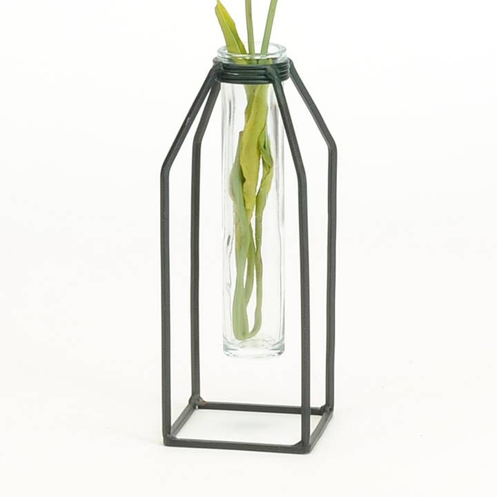 SUPPORT EN FER NOIR AVEC TUBE DE VERRE pour la vente par Bacon Basketware