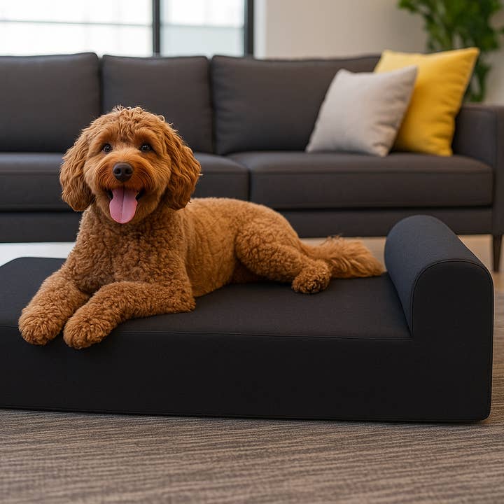 CloudLuxe Replaceable Cover for wholesale by EachPaw