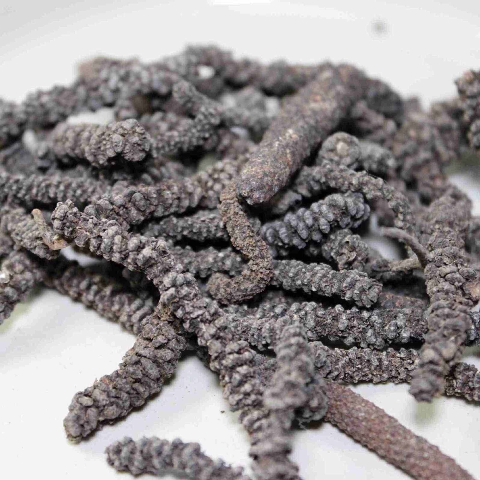 Les Epices Curieuses - Wholesale Dried Spice Mix - African long pepper - Timiz3