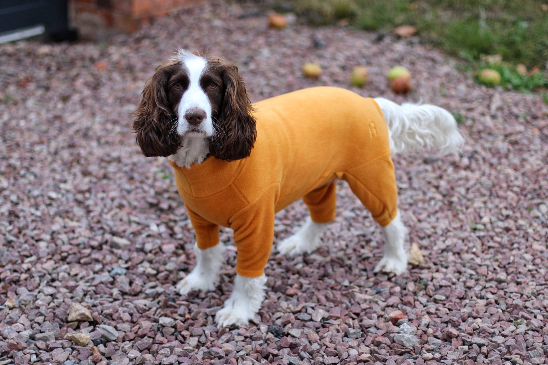 Hugo and Ted Ltd - Wholesale Pet Coat - Dog - Dog Fleece Jumpsuits0