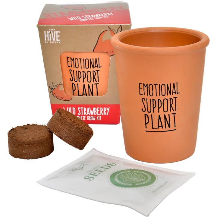 Buzzy, Inc. - Wholesale Plant Seeds - Inspirational Grow Kit - Wild Strawberry EXCLUSIVE