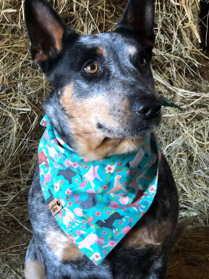 Bandana per cani da fattoria per la vendita all'ingrosso da parte di Sunflower Stitches by Erinn