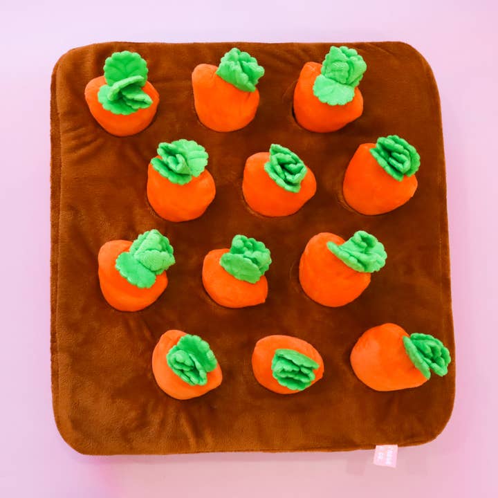 Pablo & Co. Boutique - Wholesale Pet plush toy – Dog - Hide 'n' Seek Nose Work Carrot Farm Dog Toy2