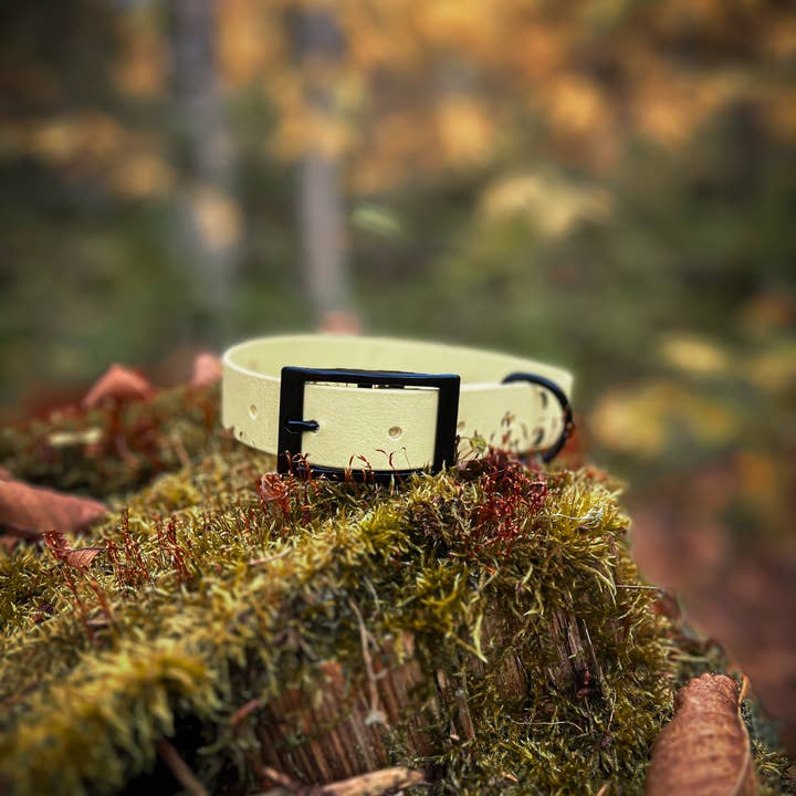 Heritage Tags - Wholesale Pet collar – Dog - Dog Collar 1po