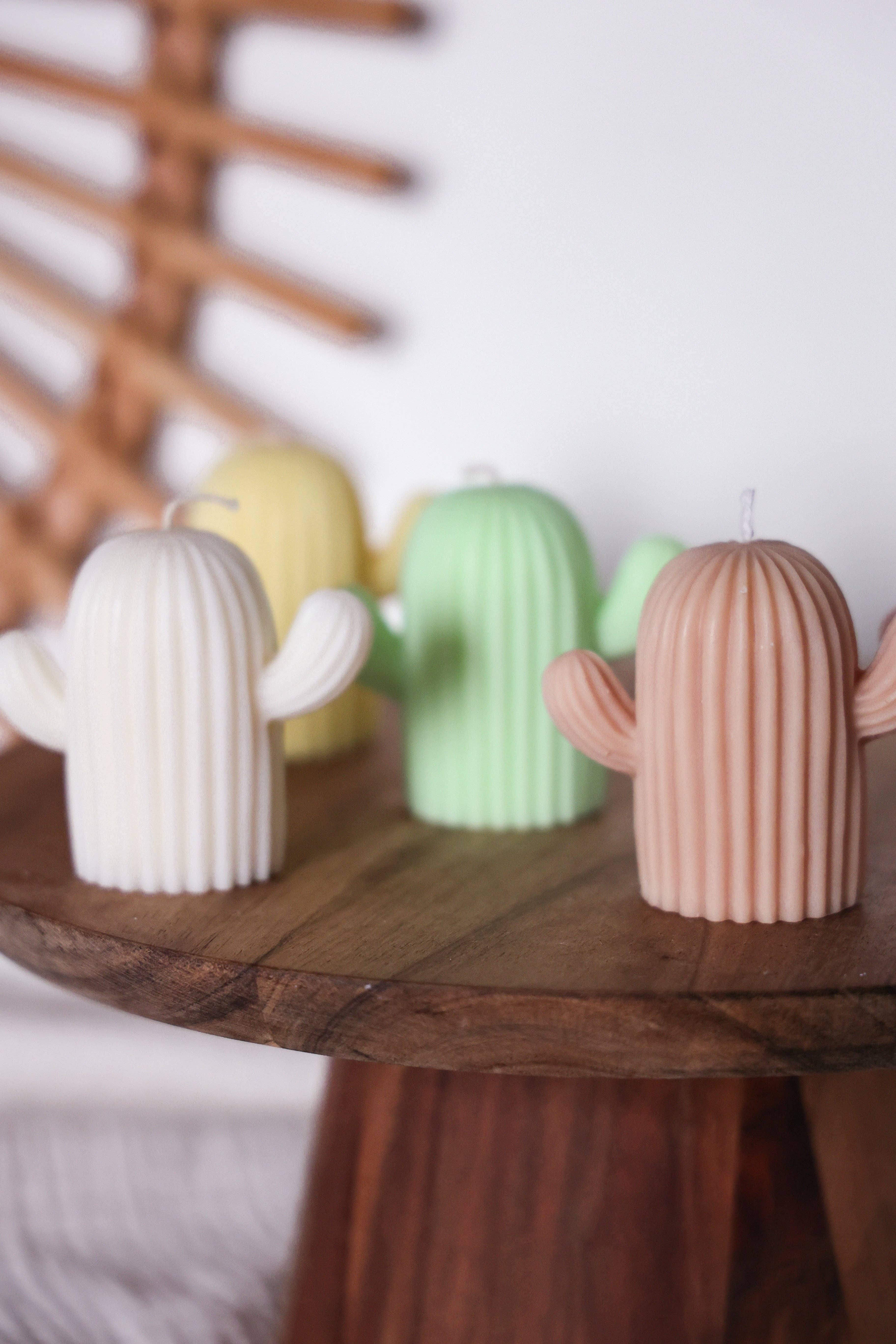 Niki Candle - Wholesale Novelty Candle - cactus1