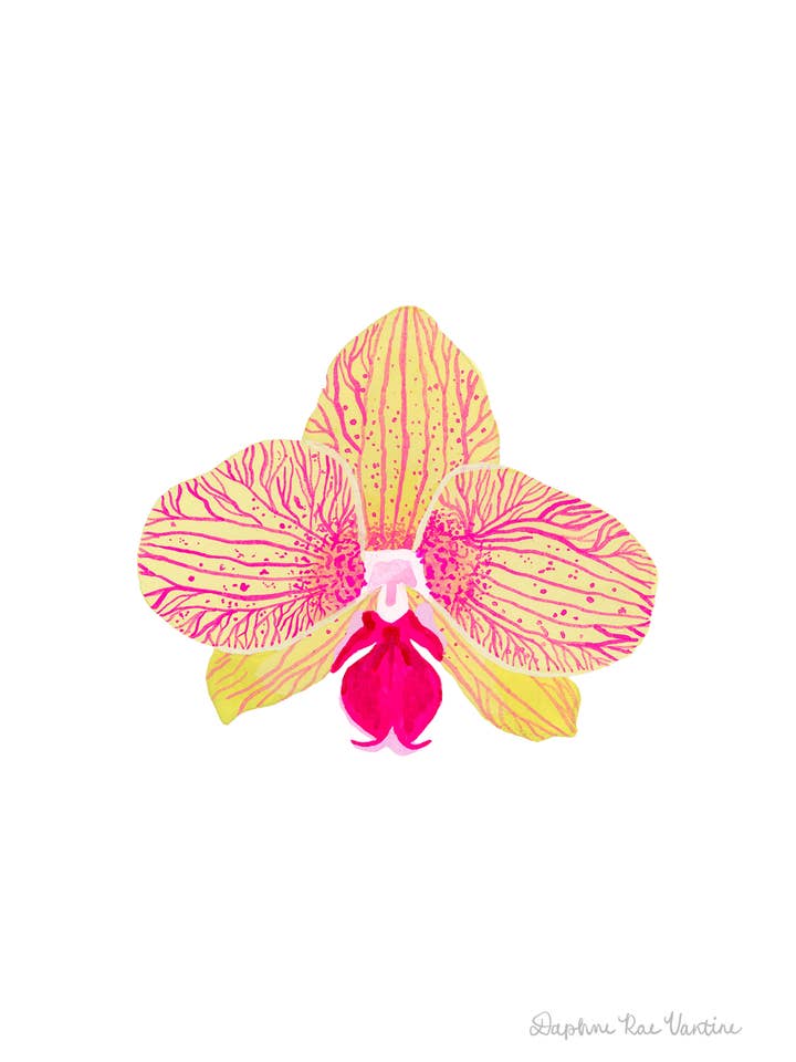 Gul Orkidé Botanisk Kunsttryk - Tropisk Vægdekoration for engroshandel hos Daphne Rae Creative