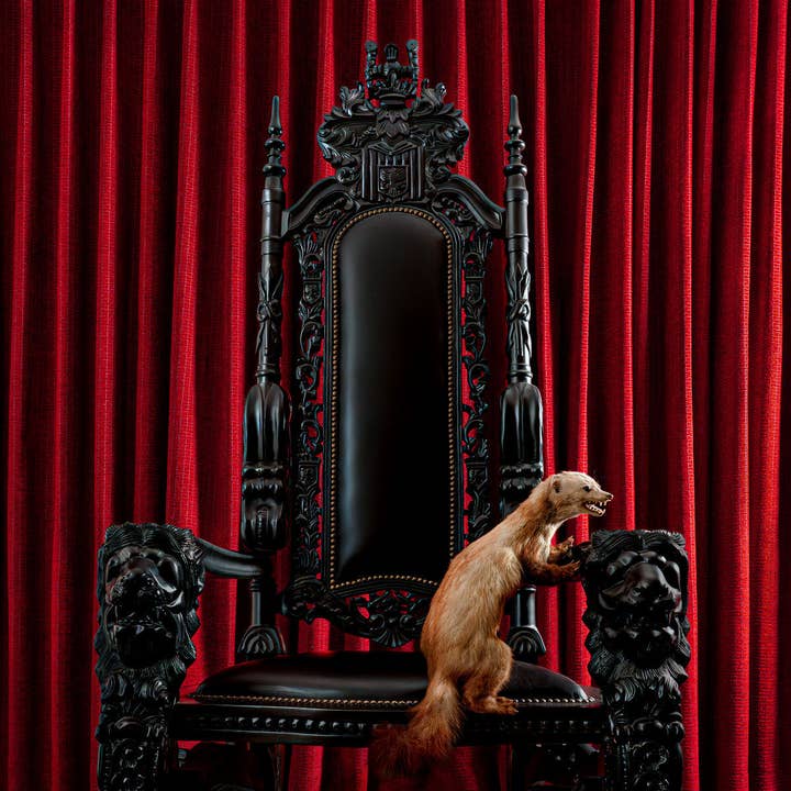 Brume LP - Marten (Vinyle Transparent Rouge) pour la vente par ROCK INDUSTRIES EUROPE LIMITED