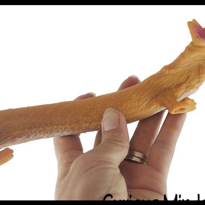 Curious Minds Toys - Wholesale Squishy Toy - Kids & Baby - 1 Stretchy Corgi Dog Crushed Bead Sand Filled - Doggy Lover