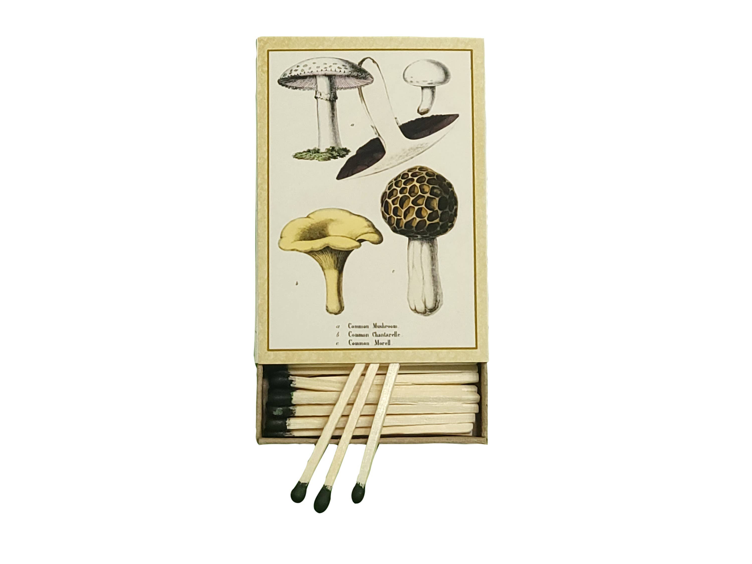 Superior Dry Goods - Wholesale Matches - "Mushrooms!" Handmade Decorator Matchbox Lot3