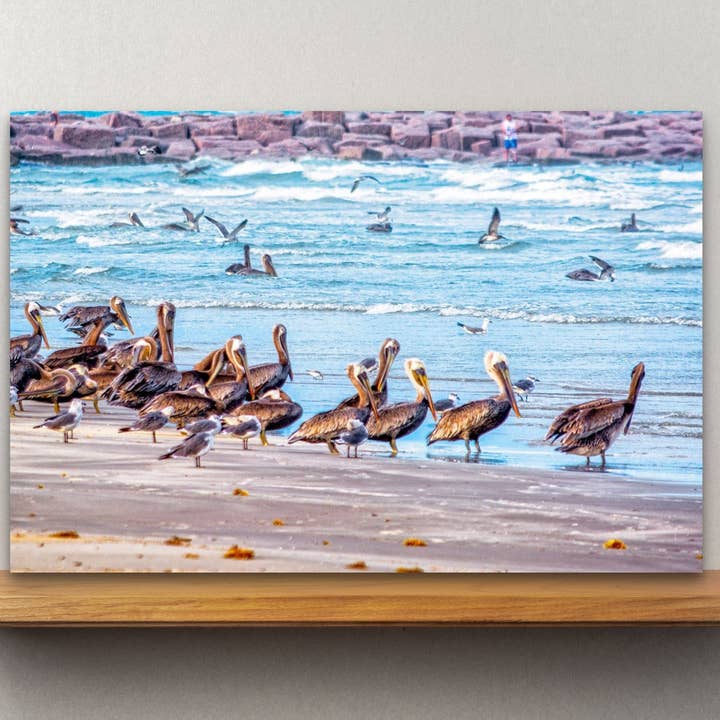 The Pelicans, Mustang Island State Park, Texas Wooden Art and Postcards for wholesale by Wimberley Puzzle Company