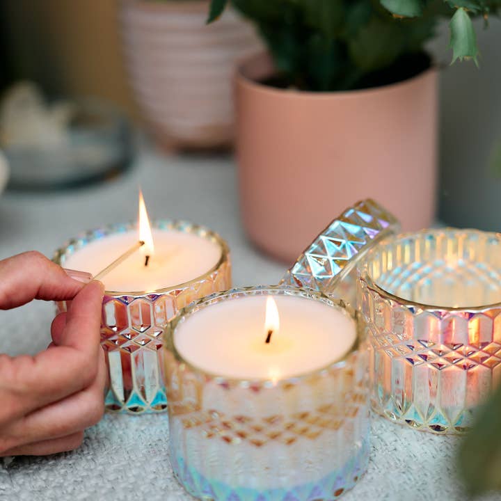 Sunbeam Candles, Inc - Wholesale Jar/Filled Candle - Nectar - Apricot, Citrus & Olive (3 boxed jars/case)4