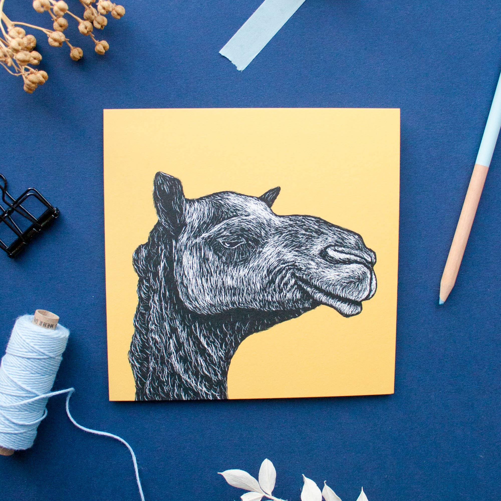 Katja Rub - Wholesale Postcard - Postcard Camel3