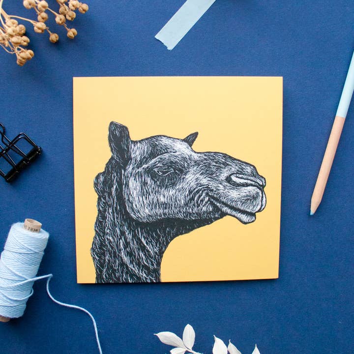 Katja Rub - Wholesale Postcard - Postcard Camel3