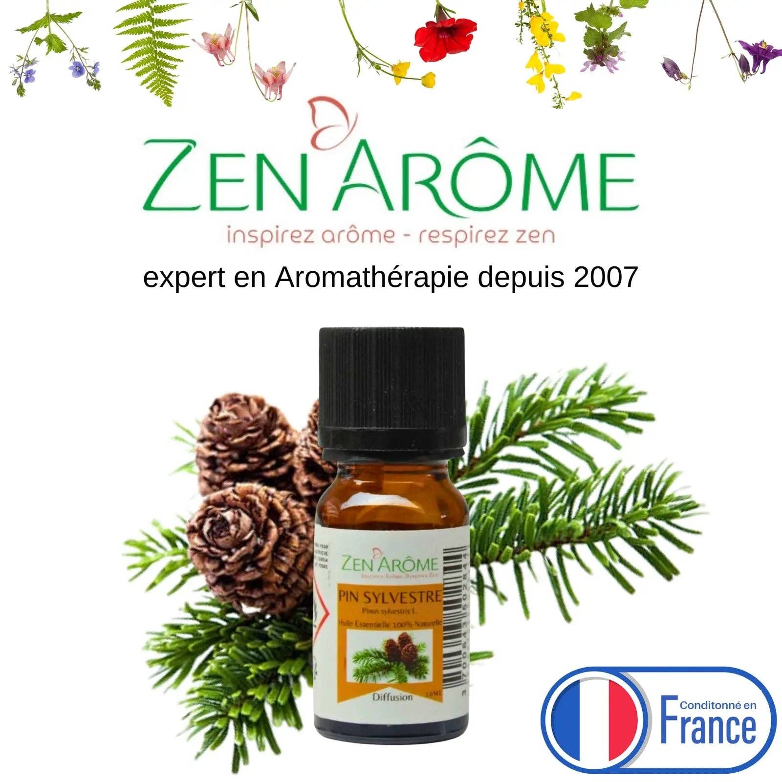 CocoBen's - Vendita all'ingrosso Olio essenziale - Oli Essenziali - Pino Silvestre - 10 ml3