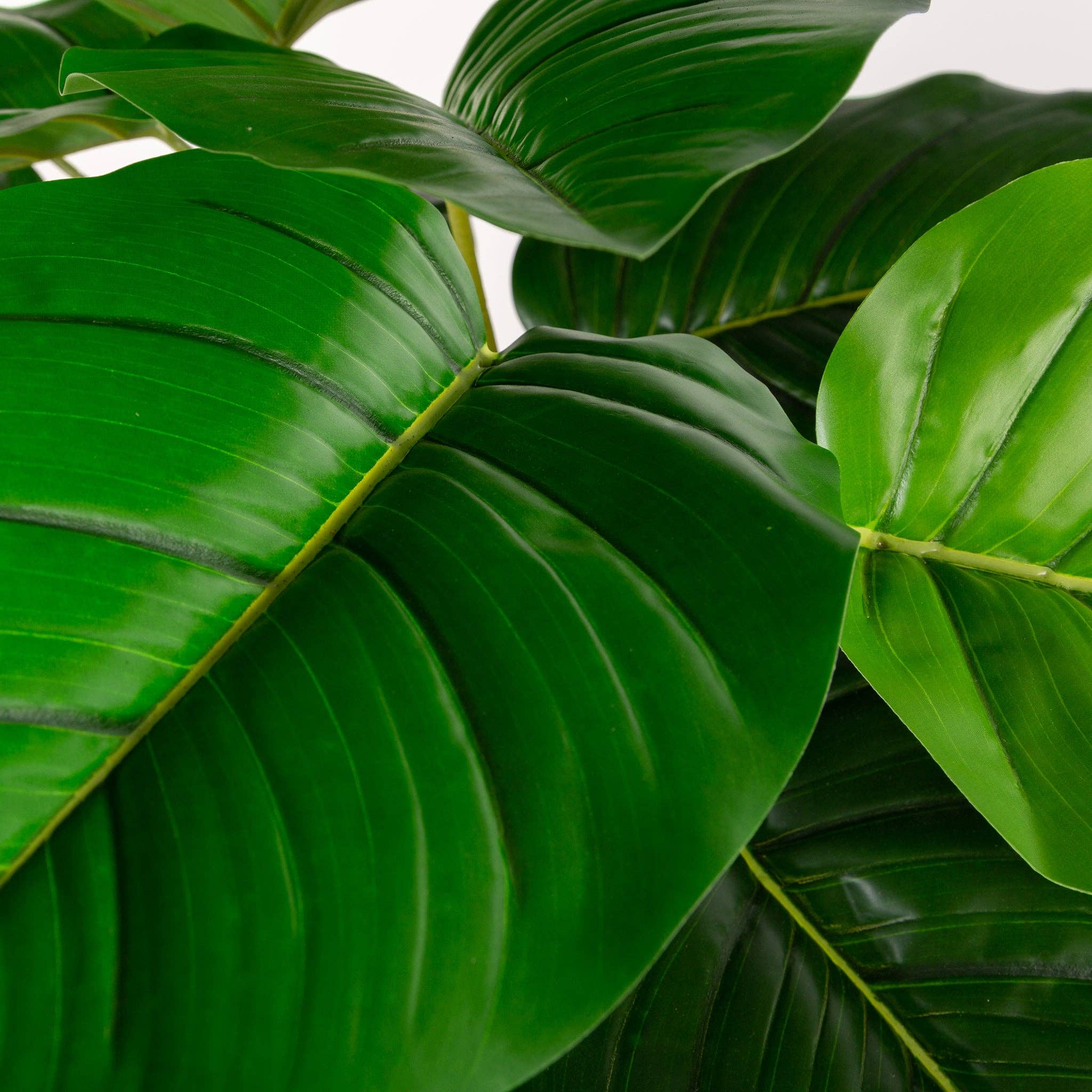 Closer2Nature - Wholesale Artificial Plant - Artificial 4ft Pothos Plant1