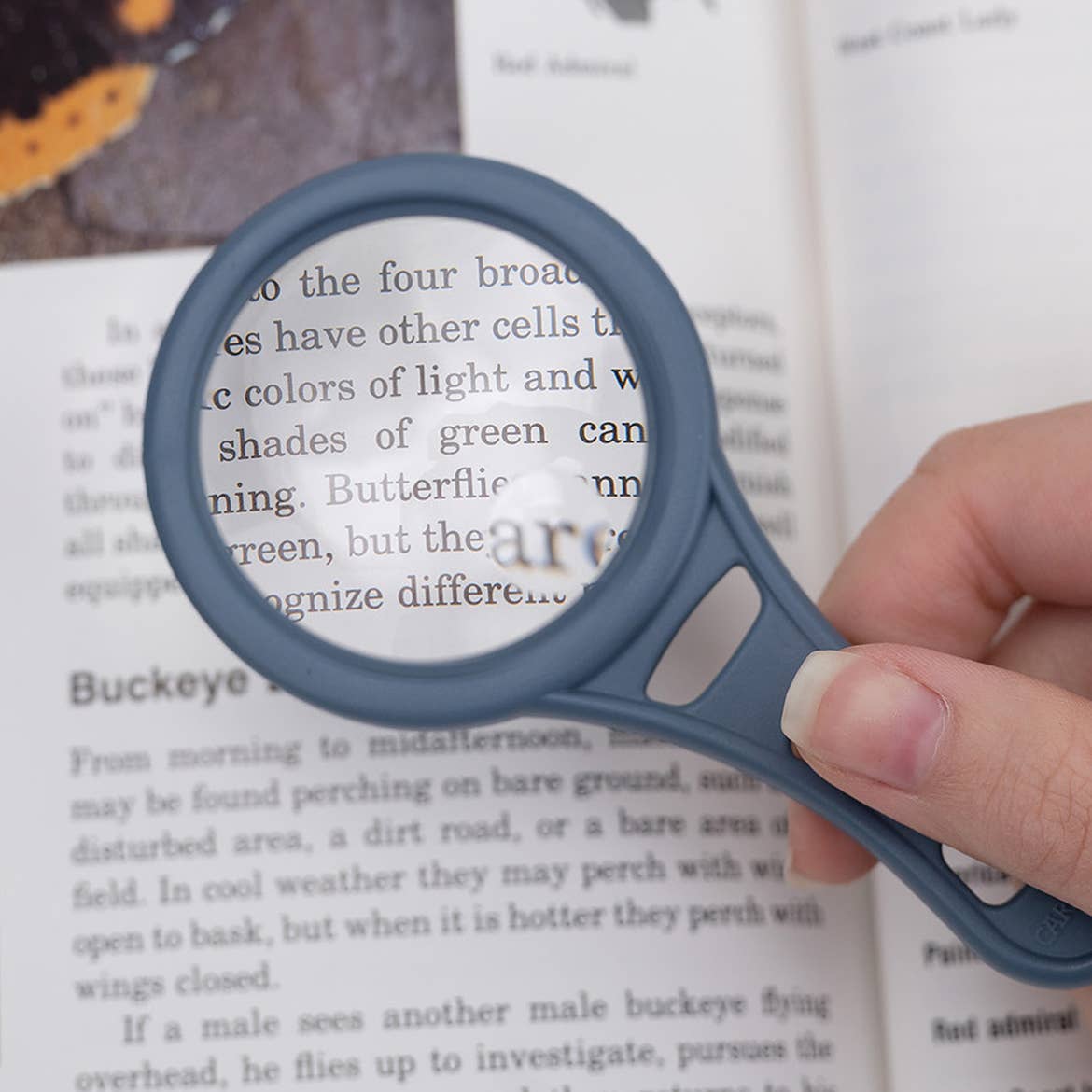 Carson EU - Wholesale Magnifying Glass - MagnetMag Assorted 3x Magnification with 6x Spot Lenses0