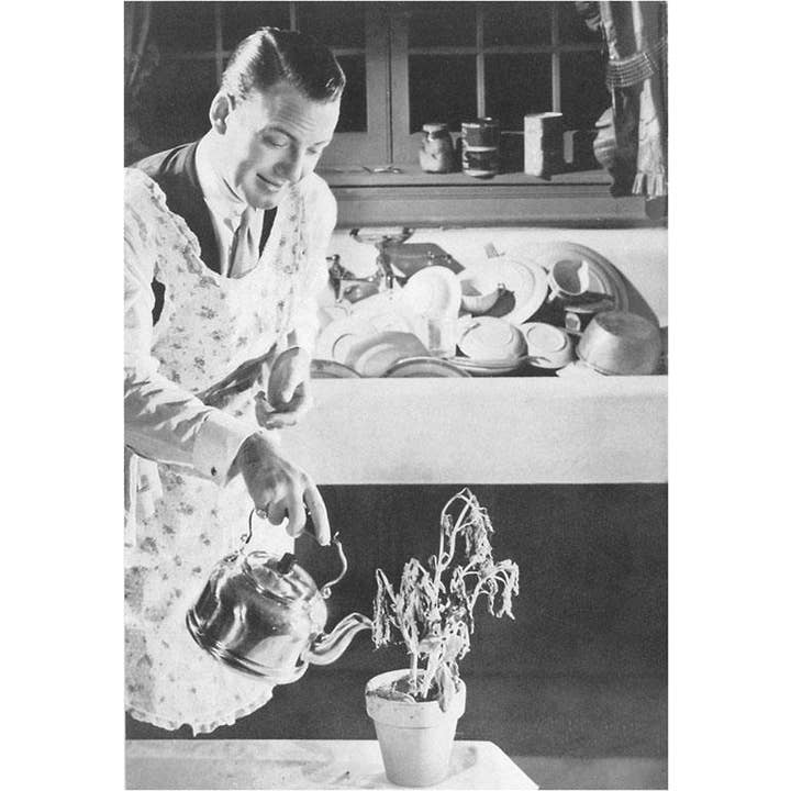 Art Print MZ-59 Househusband Watering Plant for wholesale by Found Image Press