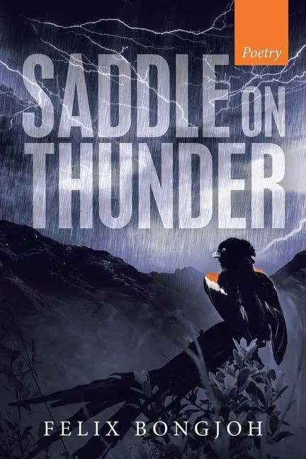 Books by splitShops - Wholesale Poetry & Drama - Saddle on Thunder - Paperback0