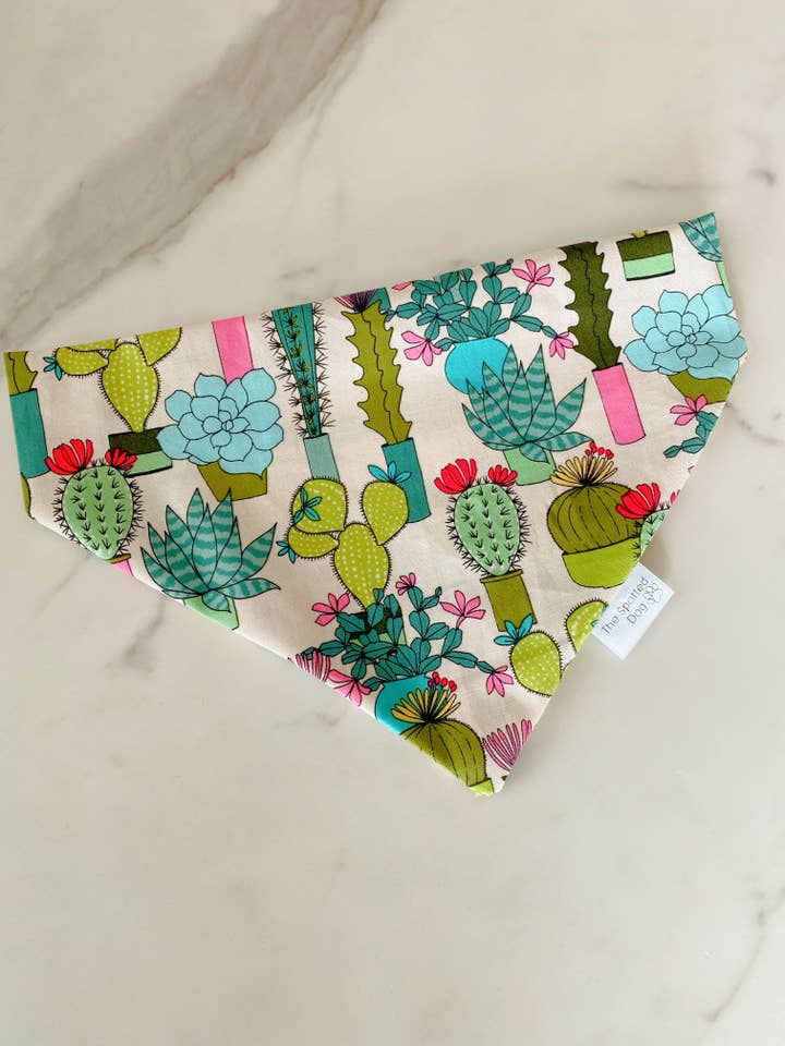 Succulent Chic Bandana for wholesale by Spotted Dog Co.
