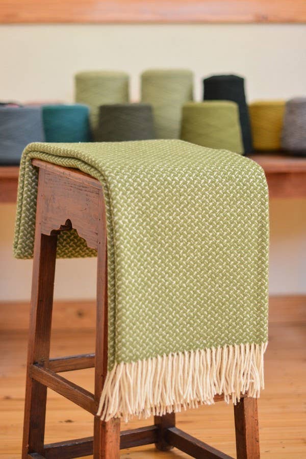 Chicoração - Vendita all'ingrosso Plaid - Coperta Rondine - più colori36