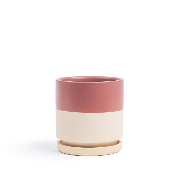 Momma Pots - Wholesale Plant Pot - 10.5" Gemstone Cylinder Pots with Water Saucers21