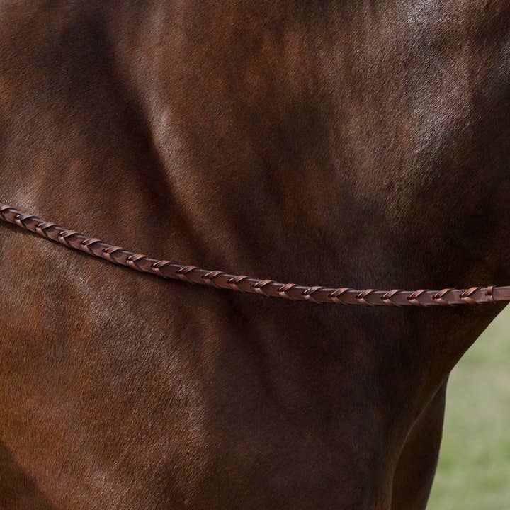 Rênes Lacées pour la vente par CommonWealth