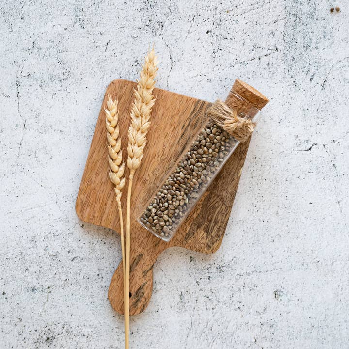 Cannavie - Wholesale Plant Seeds - Organic whole hemp seeds1