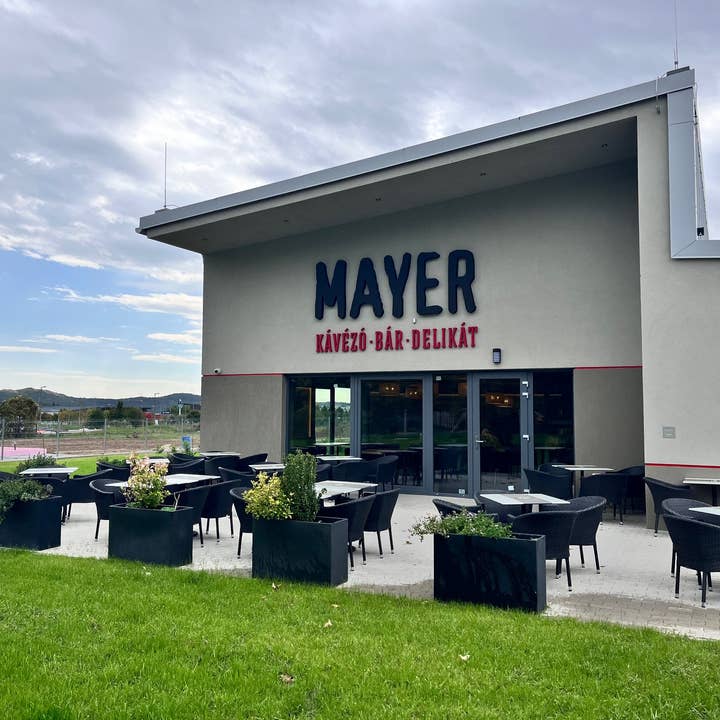 Mayer Premium Syrup - Wholesale Cocktail Mix/Syrup - Hungarian Premium Mayer Strawberry SyrupÂ
