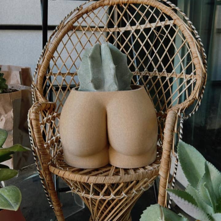 Cheeky Planter | More Colors Available for wholesale by Peachy Pilea