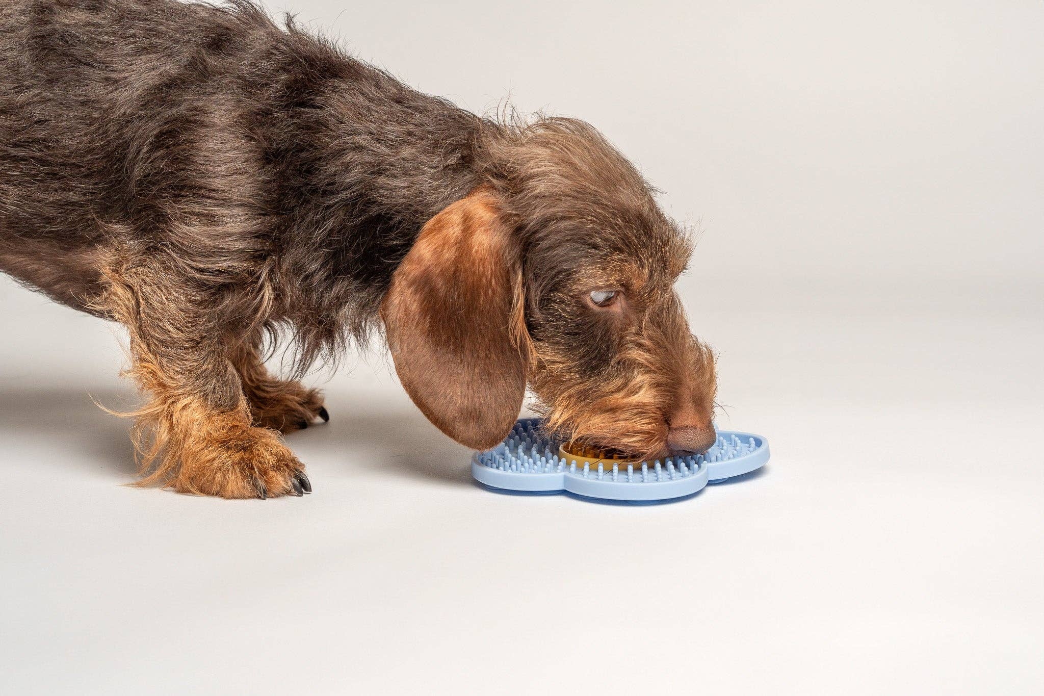 WYLD CUB – wholesale Pet food mat – Dog – Wyldflower Enrichment Mat6