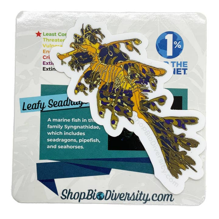 Shop BioDiversity – wholesale Sticker – Leafy Seadragon Vinyl Sticker - Waterproof Marine Decal