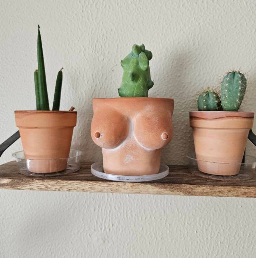 Simply Supplied Co – wholesale Kruka – Boob Kruka | Terrakotta Kruka | Roliga Bröst Kaktus Unik15